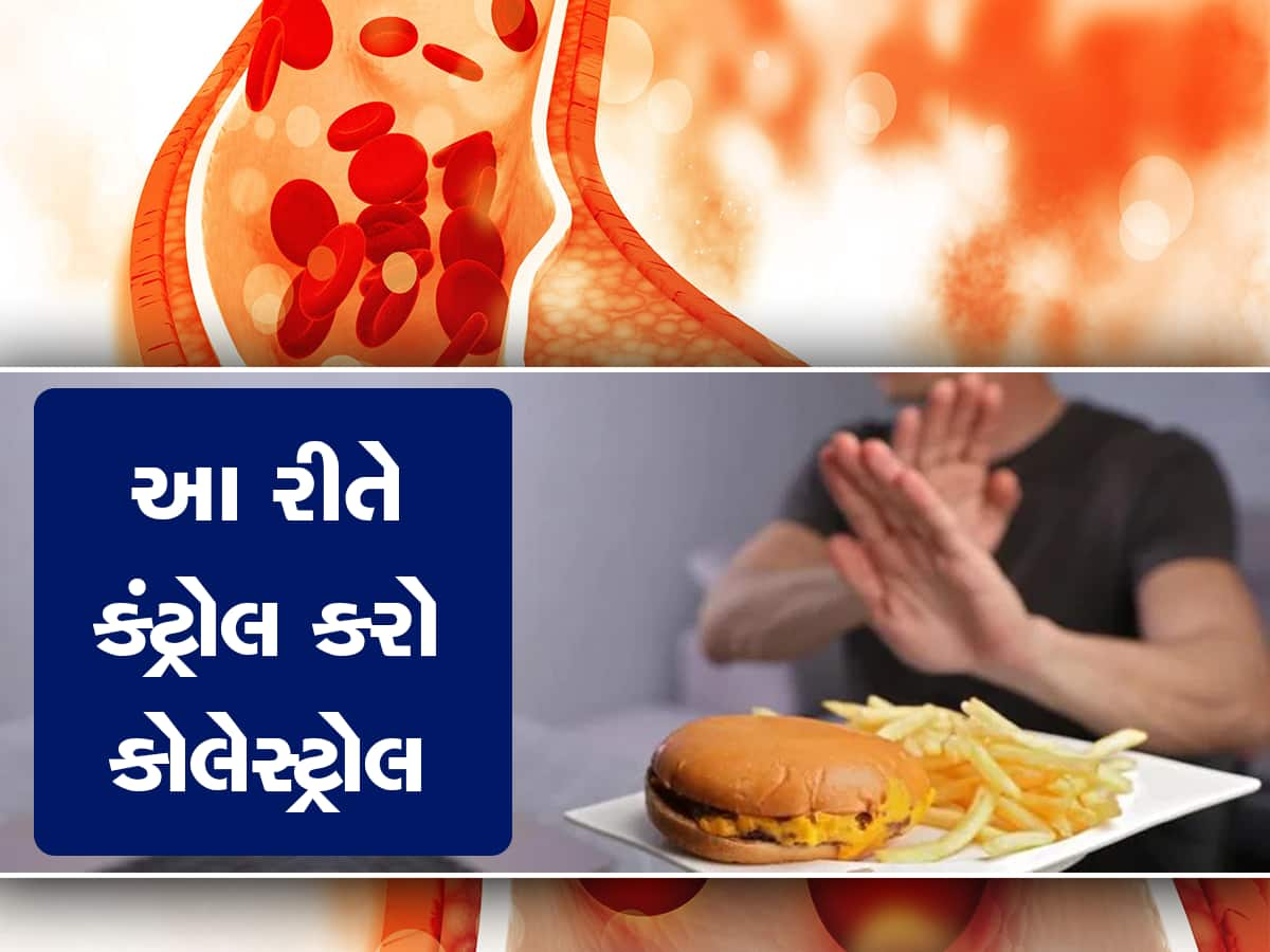 આ 4 વસ્તુઓને ડાયટમાંથી તરત જ કરી દો આઉટ, એક જ મહિનામાં ઘટી જશે કોલેસ્ટ્રોલ