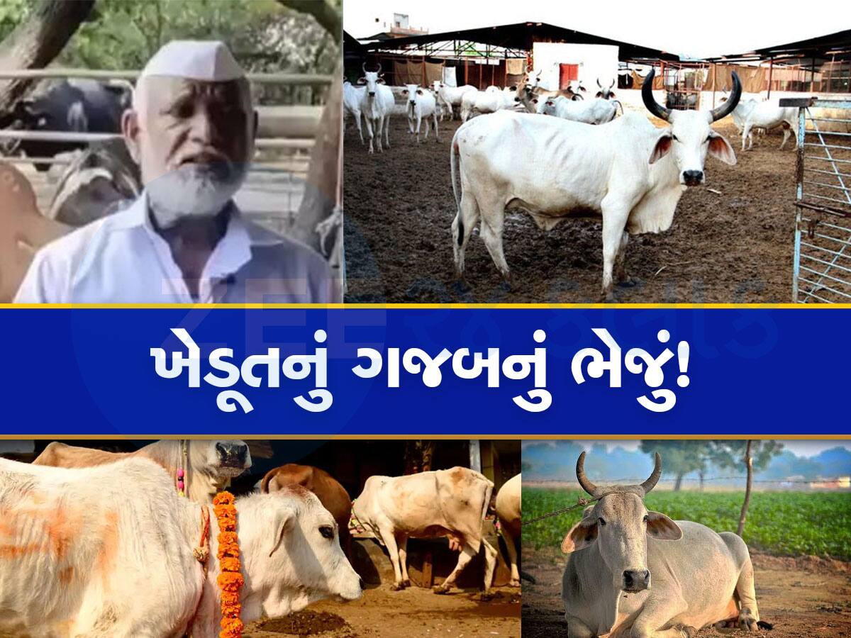 Success Story: ખેડૂતનો કમાલ, ગોબર વેચીને બનાવ્યો એક કરોડનો બંગલો! પ્રેરણાદાયક કહાની