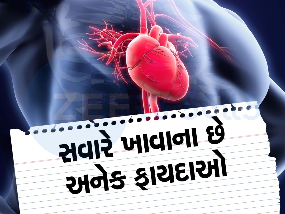 લોહીની ઉપણ હોય તો આજે ડાયટમાં સામેલ કરો આ વસ્તું, શેર લોહી ચઢશે