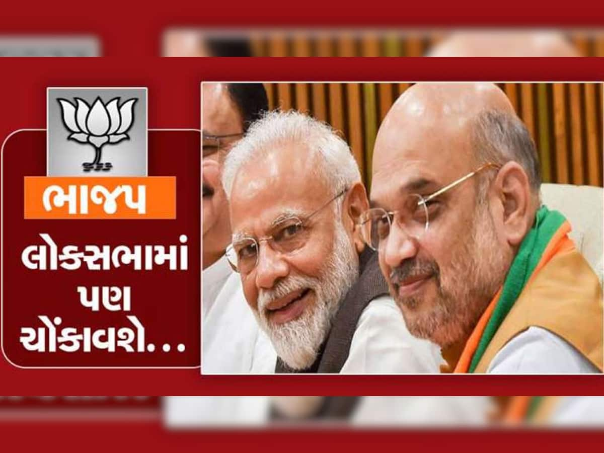 2024ની લોકસભાની ચૂંટણીમાં ભાજપની જ સરકાર રચાશે! જાણો ભાજપના કયા નેતાએ કર્યો મોટો દાવો