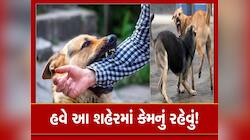 સુરતમાં રખડતા શ્વાનનો આતંક; 3 વર્ષના બાળક પર કર્યો જીવલેણ હુમલો, આંખ,માથાના ભાગે ઈજા