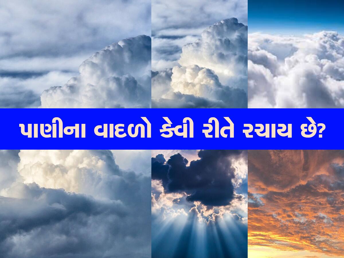 Science of Rain: ક્યારેક ઓછો વરસાદ, ક્યારેક વધુ; ચોમાસાના કાળાડિંબાગ વાદળોમાં કેટલું હોય છે પાણી?