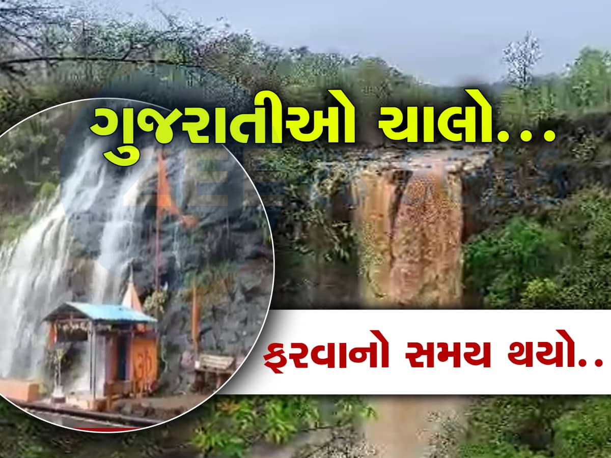 Gujarat Rain : ચોમાસામાં ગુજરાતનું સૌદર્ય સોળે કળાએ ખીલ્યું, પહાડો પરથી વહેતા થતા આ પ્રસિદ્ધ ધોધ 