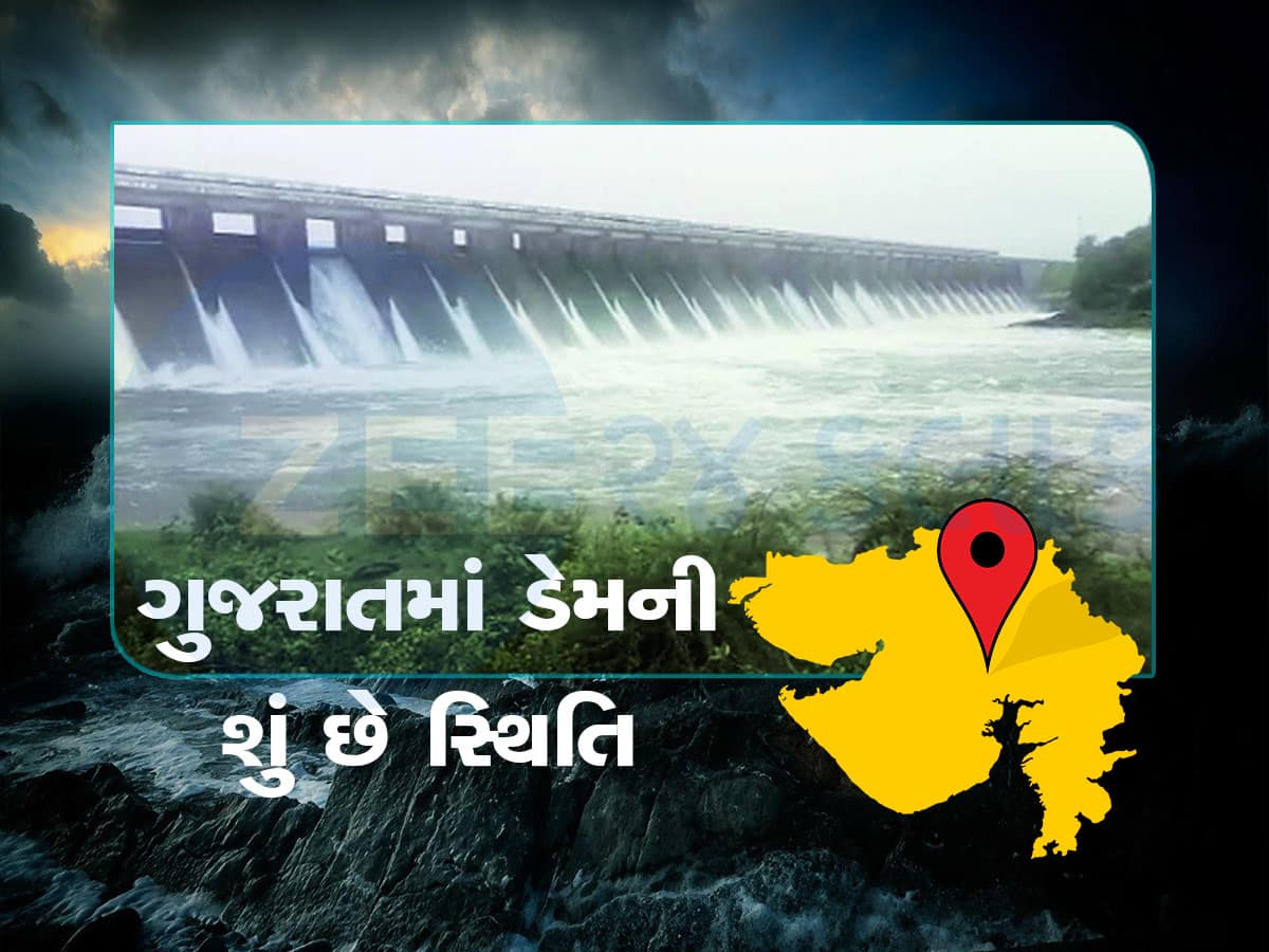 Gujarat Monsoon: ભારે વરસાદના પગલે ગુજરાતના 18 ડેમ માટે એલર્ટ-વોર્નિગ જાહેર, જાણો શું છે હાલ સ્થિતિ