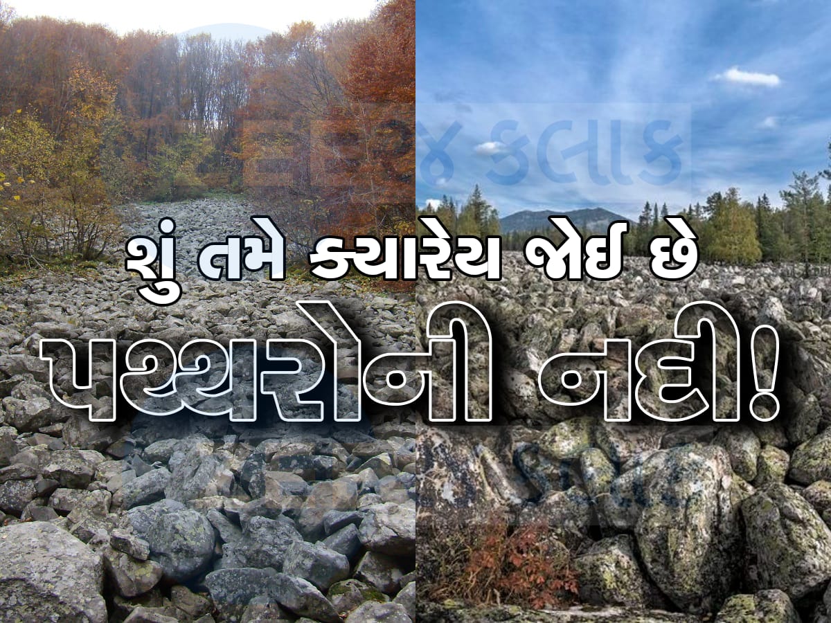 Stone River: વિશ્વની એકમાત્ર એવી નદી, જેમાં પાણી નહીં માત્ર પથ્થરો જ વહે છે! 