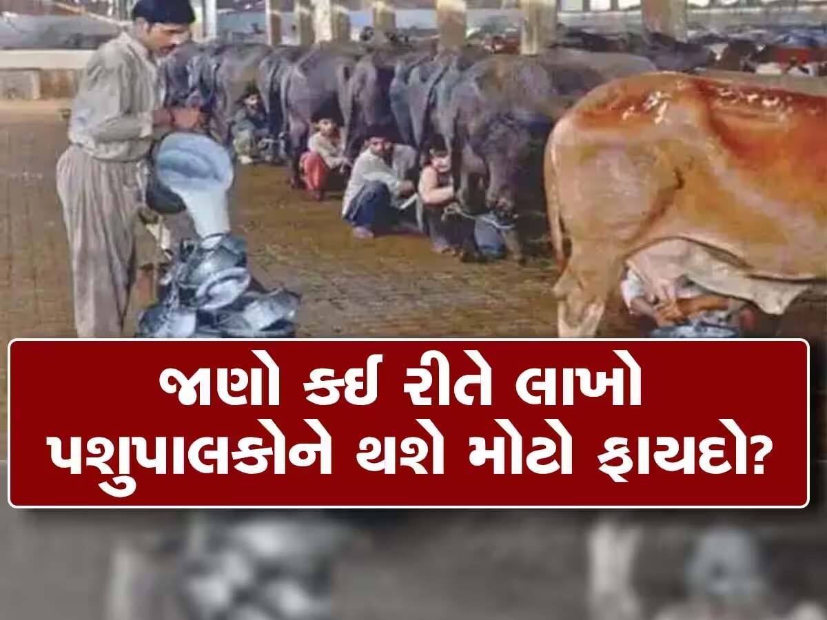 પશુપાલકોના હિતમાં ગુજરાત સરકારનો મહત્વનો નિર્ણય, પશુઓ માટે 'સંકટમોચક' બનશે આ સુવિધા