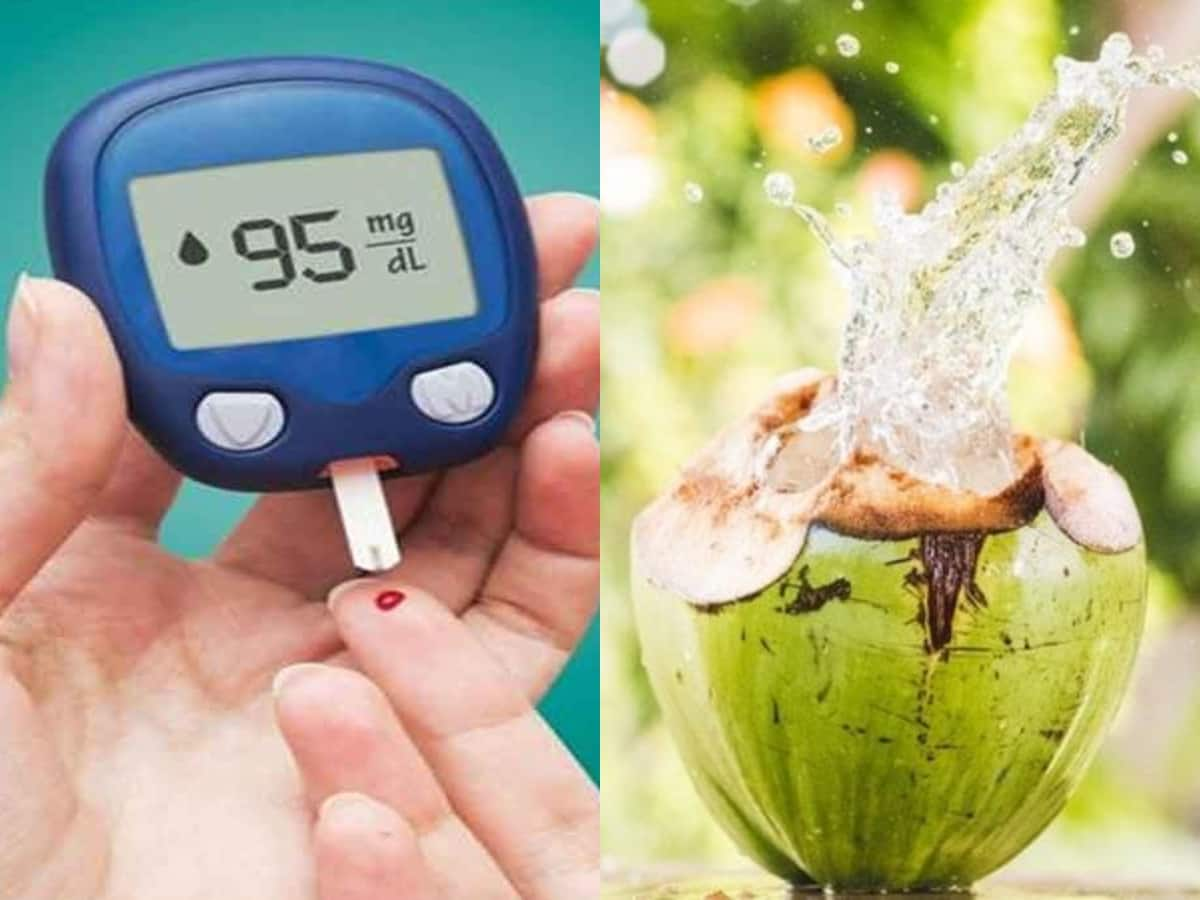 Diabetes ના દર્દીઓએ નાળિયેર પાણી પીવું જોઈએ કે નહીં? જાણો બ્લડ શુગર લેવલ ઓછું થાય કે વધે 