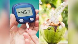Diabetes ના દર્દીઓએ નાળિયેર પાણી પીવું જોઈએ કે નહીં? જાણો બ્લડ શુગર લેવલ..