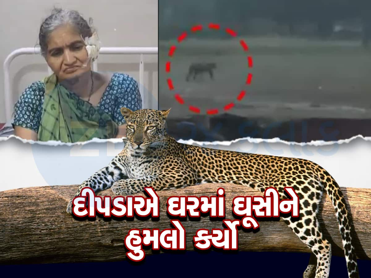 વલસાડમાં દીપડો માનવભક્ષી બન્યો : બે ઘરમાં ઘૂસીને હુમલો કર્યો, ચાર લોકો ઈજાગ્રસ્ત