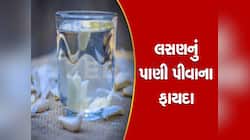 Garlic Water: બેલી ફેટથી છુટકારો મેળવવા ઇચ્છો છો તો ડાયેટમા સામેલ કરો આ પાણી