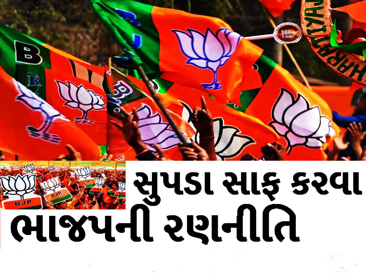 Lok Sabha Election Survey: આજે લોકસભાની ચૂંટણી થાય તો ગુજરાતમાં કોને કેટલી બેઠકો મળશે? જોઈ લો પરિણામ