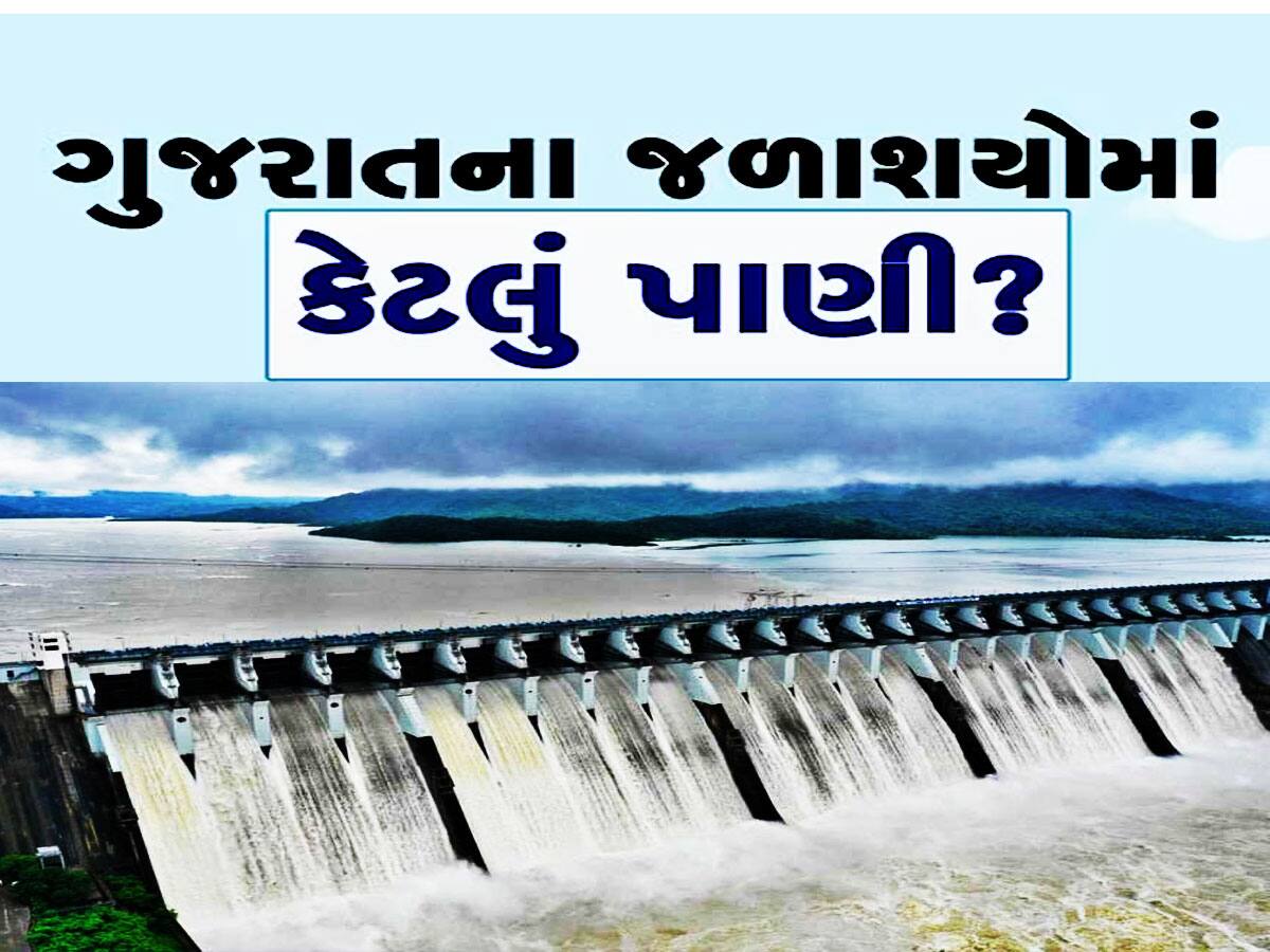 ગુજરાતના કુલ 206 જળાશયોમાં હાલ કેટલું પાણી છે? જાણો જળાશયોની સ્થિતિ