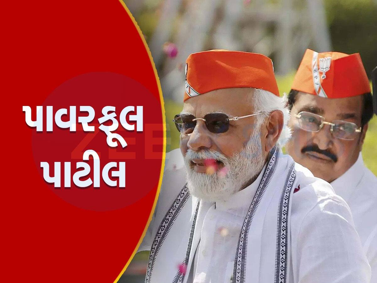 ગુજરાત માટે પાટીલ કેમ અગત્યના? જાણો ભાજપ હાઈકમાન્ડને શા માટે છે પાટીલ પર સૌથી વધુ ભરોસો