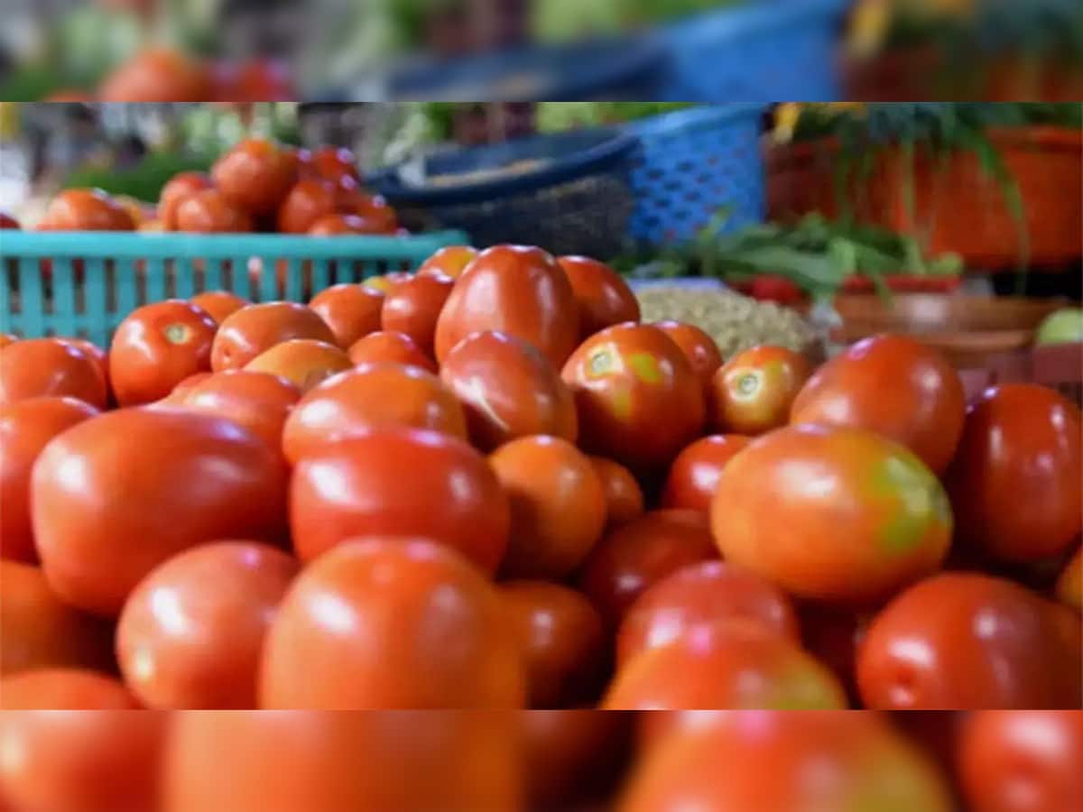 Tomato price: ટમેટાના ભાવમાં ફરી આવ્યો ઉછાળો, વધેલા ભાવ જાણી ટમેટા ન ખાવાની લઈ લેશો બાધા