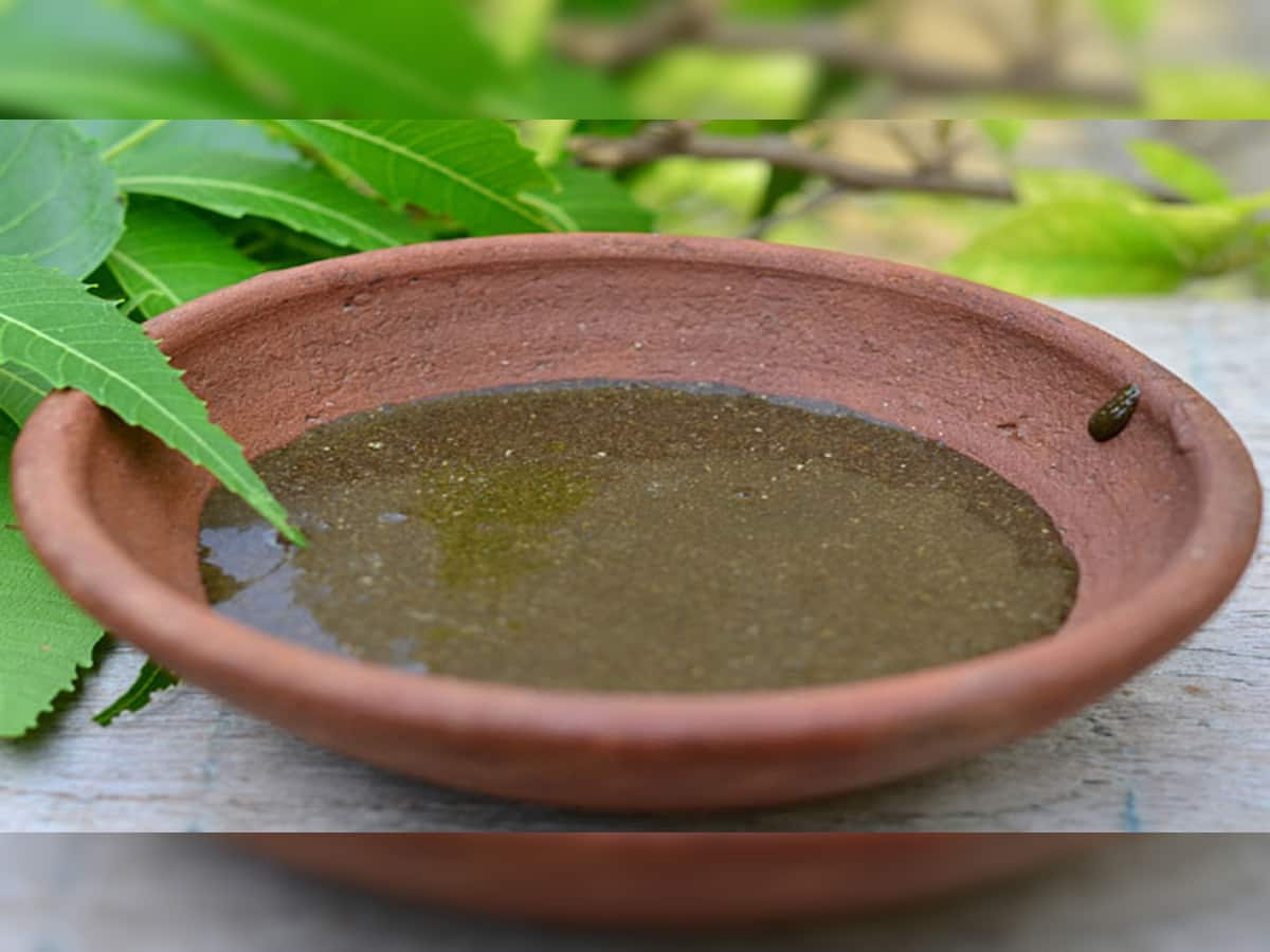 Neem Oil: ચોમાસામાં નહીં ખરે એક પણ વાળ, આ રીતે લીમડાનું તેલ કરશે વાળ પર જાદૂ