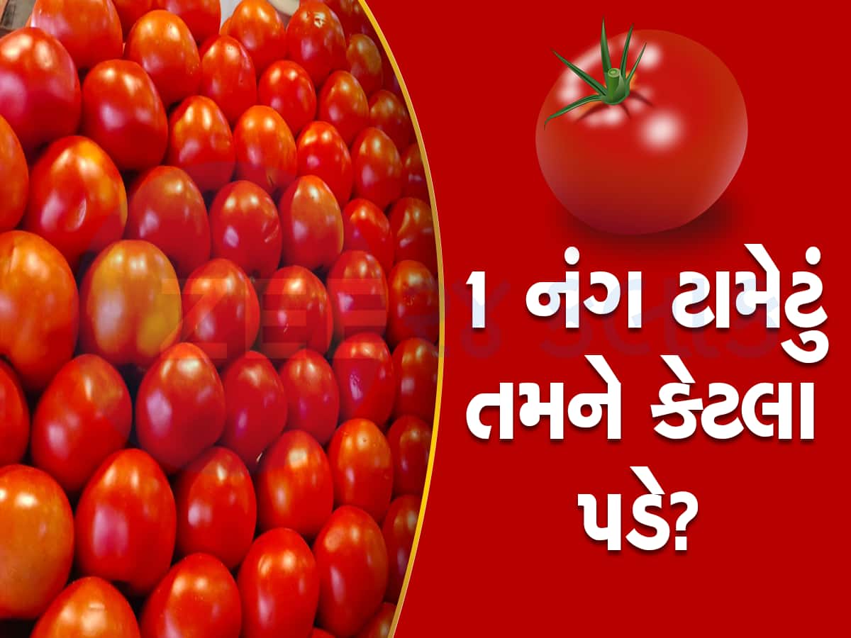 tomato price hike in india zee 24 kalak reality check on tomato price