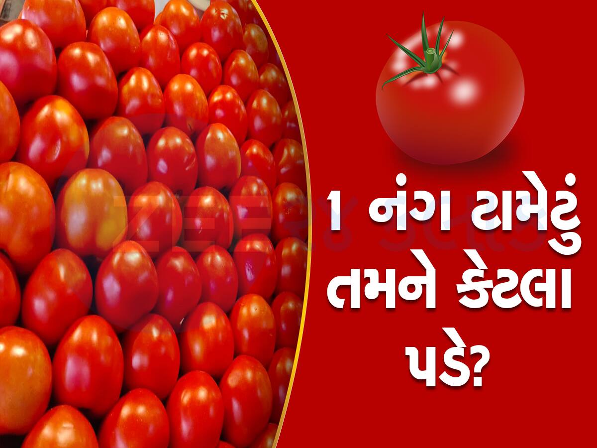 Tomato price : લાલ ટામેટાના ભાવ આસમાને, એક નંગ ટામેટું તમને કેટલામાં પડે છે તે અમે તમને બતાવીએ   