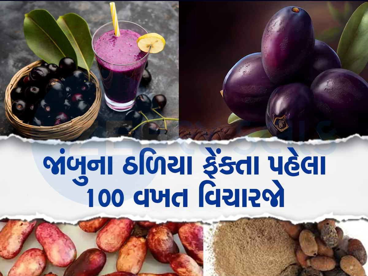 ડોક્ટરની દવા કરતા પણ ઉપયોગી છે આ ઠળિયા, પથરી હોય કે ડાયાબિટીસ બધુ થઇ જશે ગાયબ