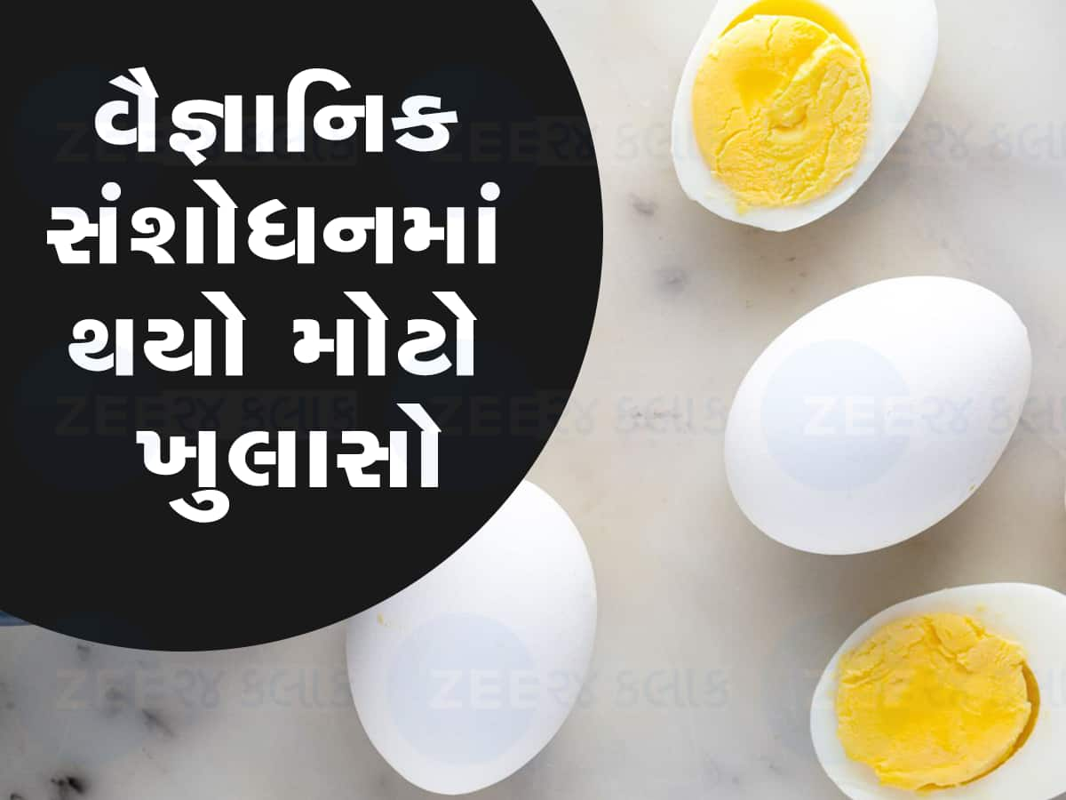 તમને પણ અસમંજસમાં છો કે ઈંડા વેજ છે કે નોન વેજ? જવાબ જાણશો તો આશ્વર્ય પામશો