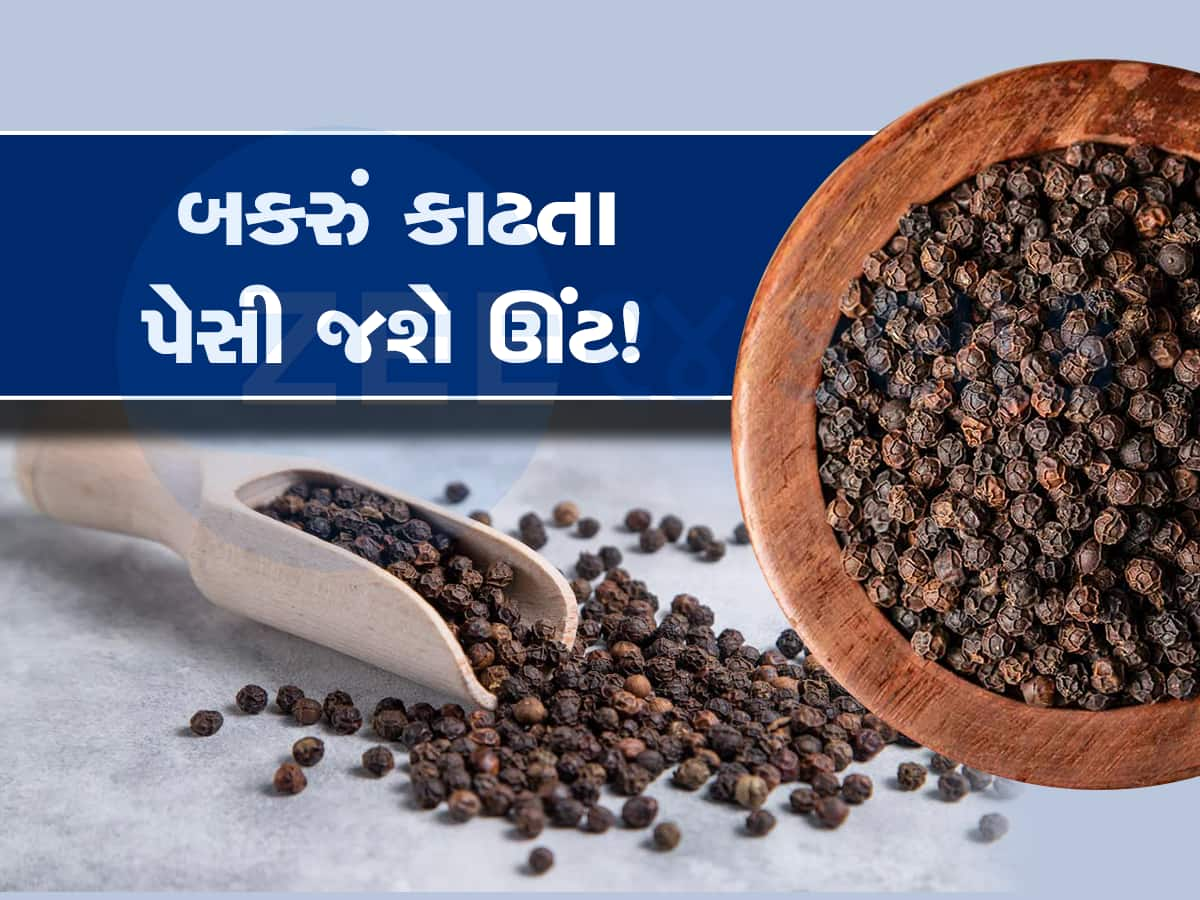 મરીના વધુ પડતા સેવનથી ફાયદો થવાને બદલે થઈ શકે છે નુકસાન, ઉલમાંથી ચૂલમાં પડશો