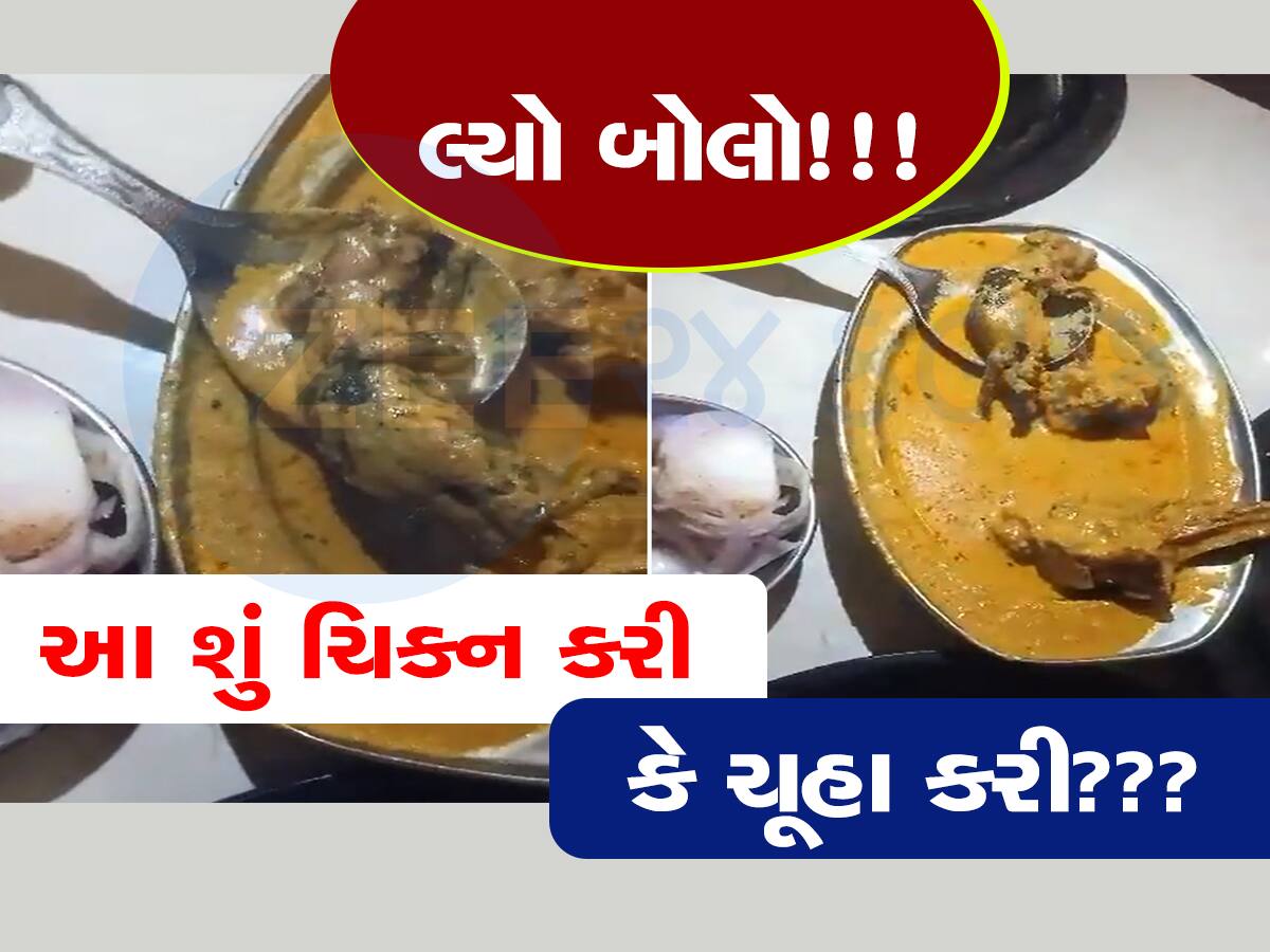 Viral Video: Chicken Curry માંથી નિકળ્યો મરેલો ઉંદર, એક ભાગ ખાધા પછી... બાપ રે...બાપ...