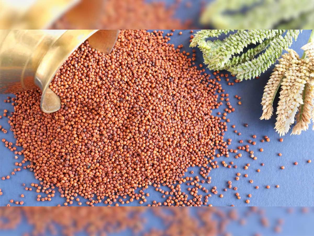 ડાયાબિટીસના દર્દીઓ માટે બેસ્ટ છે આ 4 લોટ, આ લોટની રોટલી ખાવાથી કંટ્રોલમાં રહેશે બ્લડ સુગર