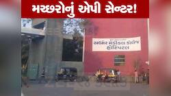 ગામમાં ગંદકીનો દંડ ઉઘરાવતી મનપાની હોસ્પિટલમાં જ છે આખા શહેરના મચ્છરોનું એપી સેન્ટર