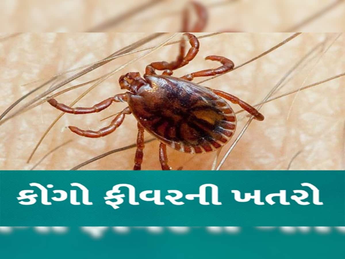 ફરી ગુજરાતમાં નવી મુસીબત! કોંગો તાવના કારણે દર્દીનું મોત, 13 પરિવારજનોના સેમ્પલ લેવાયા
