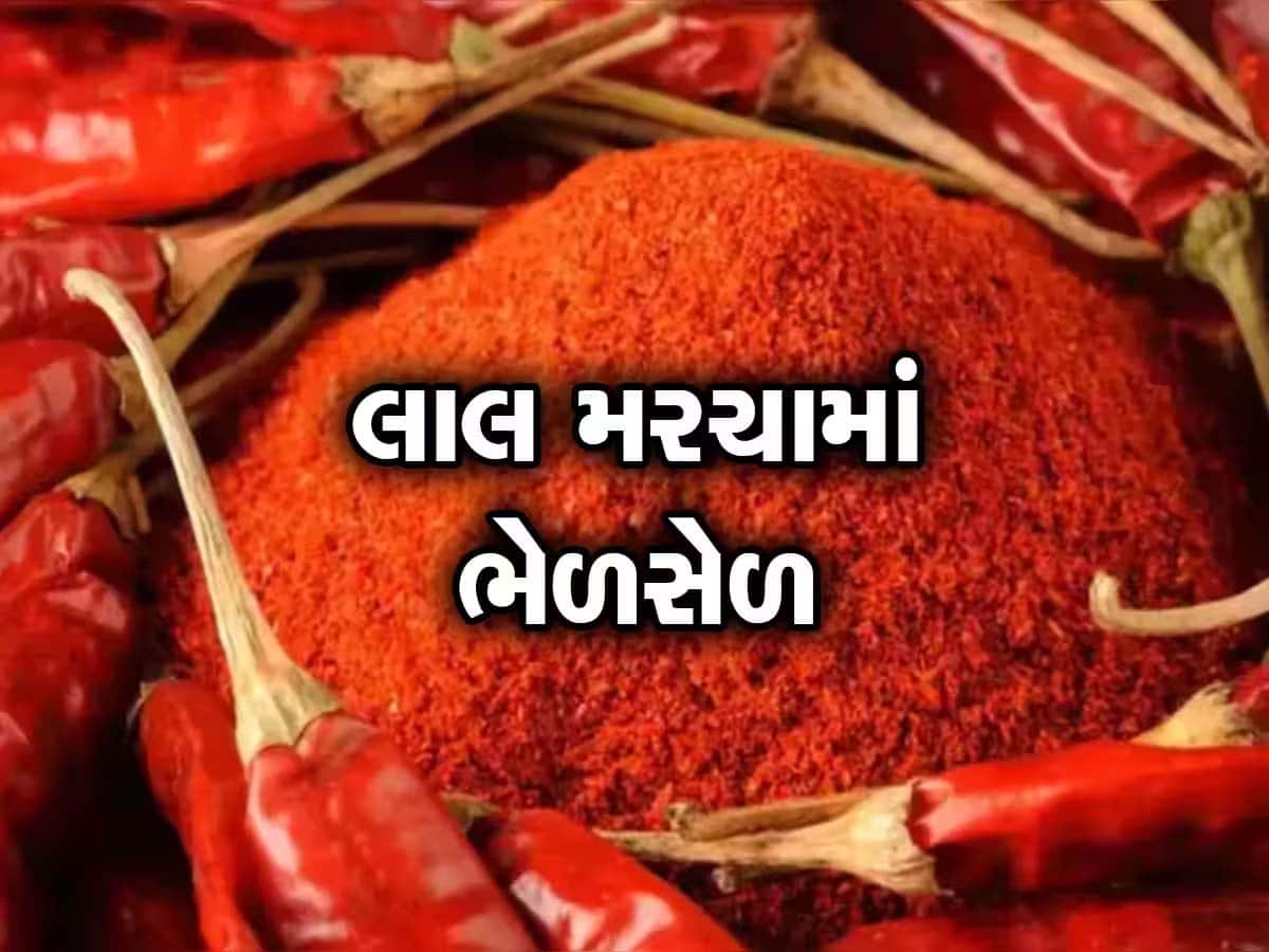 મરચાના નામે ગુજરાતમાં લોકોના આરોગ્ય સાથે થાય છે ચેડાં, જાણો લાલચટક કરવા શેના થાય છે ઉપયોગ?
