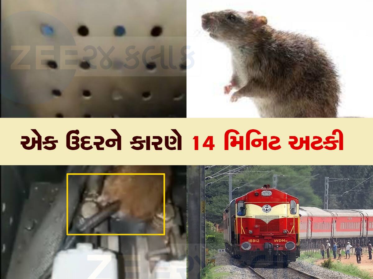 એક ઉંદરને કારણે ગુજરાતમાં મોટો ટ્રેન અકસ્માત થતા રહી ગયો, હજારો મુસાફરોના જીવ તાળવે ચોંટ્યા