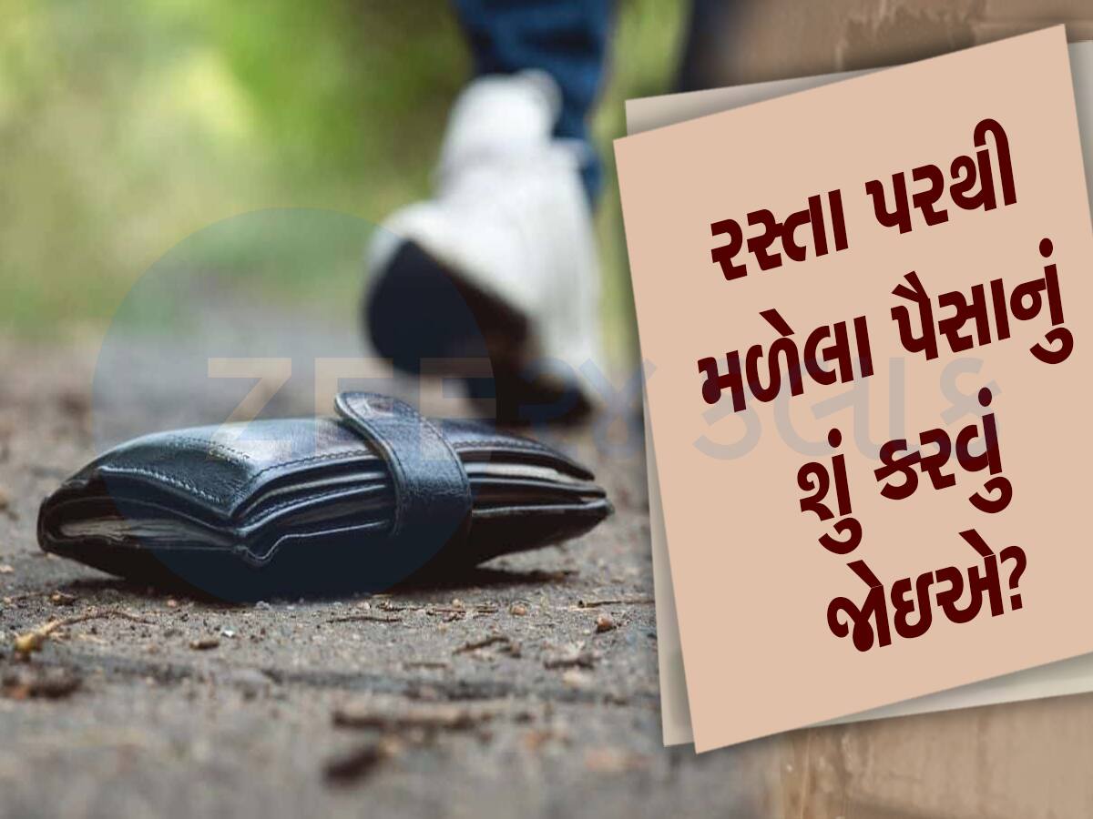 રસ્તા પરથી પૈસા ભરેલું પર્સ મળે તો આ વાતનો હોય છે ઇશારો, જાણો આ સંકેત શુભ કે અશુભ