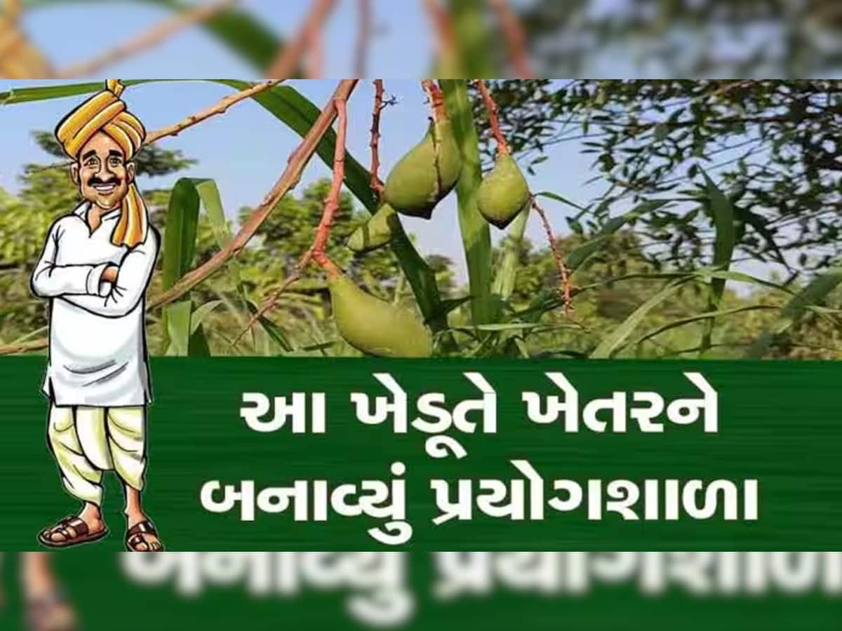 પ્રાકૃતિક ખેતીથી ખેડૂતો બન્યા આત્મનિર્ભર: ગુજરાતના આ બે ખેડૂતો કમાઈ રહ્યા છે 34-35 લાખ રૂપિયા