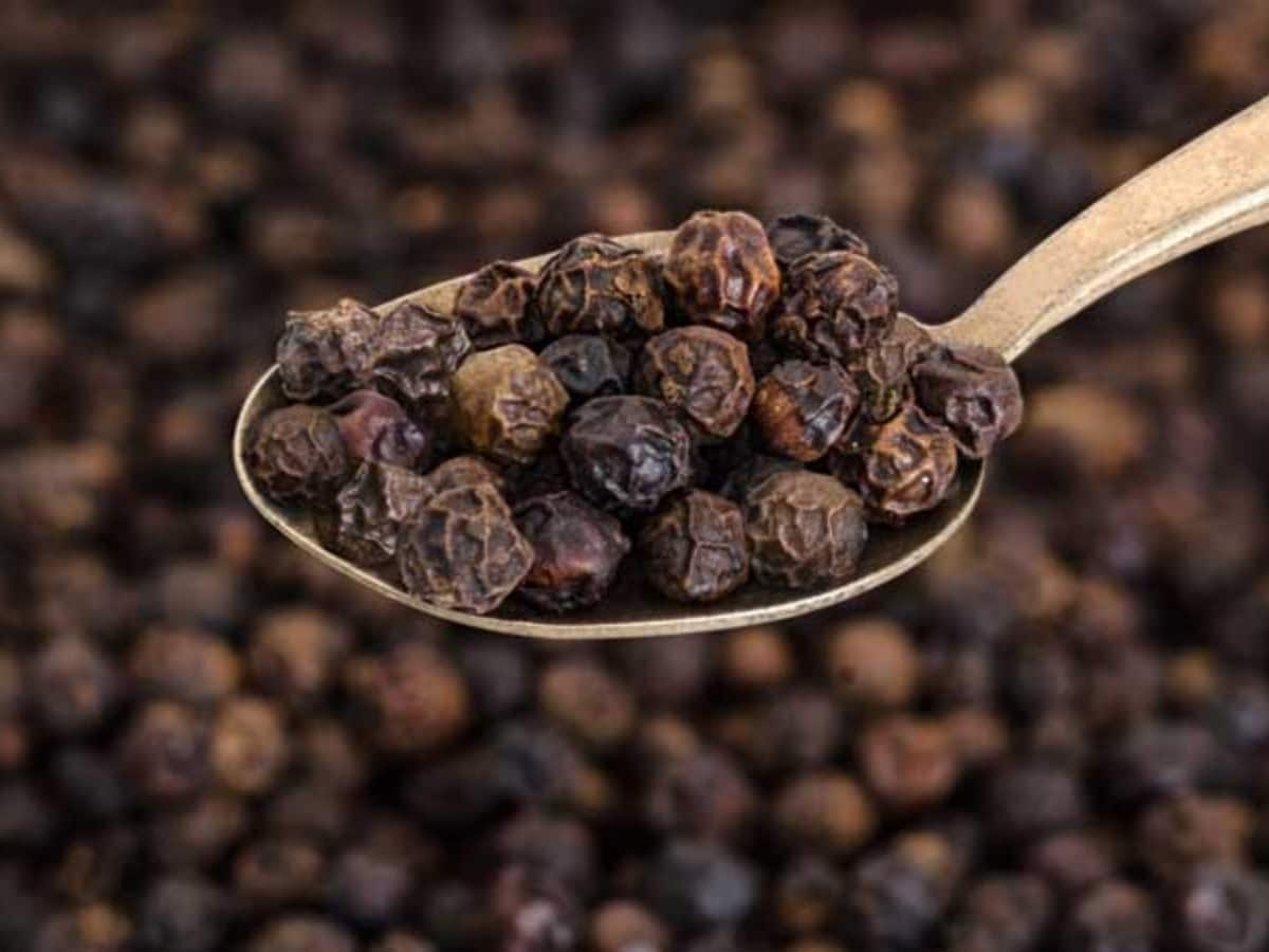 વધુ પડતા કાળા મરીનુ સેવન સ્વાસ્થ્ય માટે છે હાનિકારક, થાય છે આવી મોટી