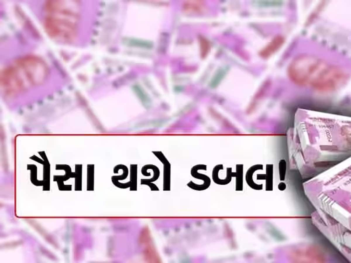 Multibagger Stock : આ શેર ચમકાવી શકે છે તમારી કિસ્મત! જાણો કેમ લેવા માટે થઈ રહી છે પડાપડી