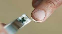 Nail Cutting: આ દિવસે નખ કાપવાથી કારર્કિદીમાં મળે છે સફળતા, ઘરમાં જળવાઈ છે સમૃદ્ધિ