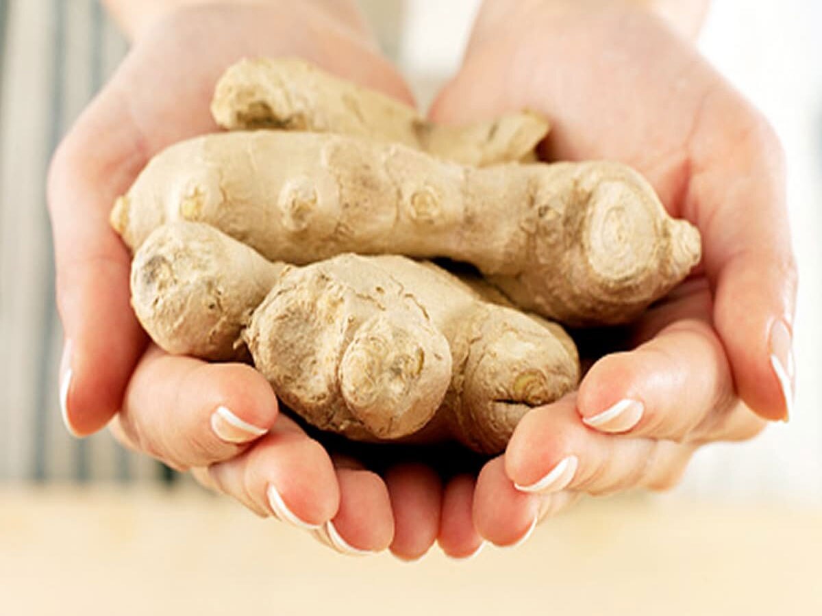 આદુથી થોડા જ દિવસોમાં ઓગળી જશે શરીરની ચરબી, જાણો સેવનની સાચી રીત