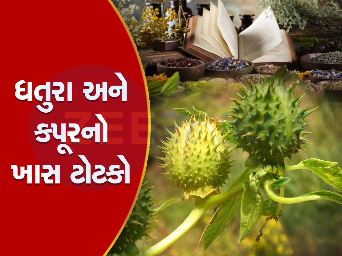 દેવું વધી રહ્યુ હોય અને વેપારમાં મંદી હોય તો ગુરૂવારે કરો આ ઉપાય, આખી બાજી ફરી જશે