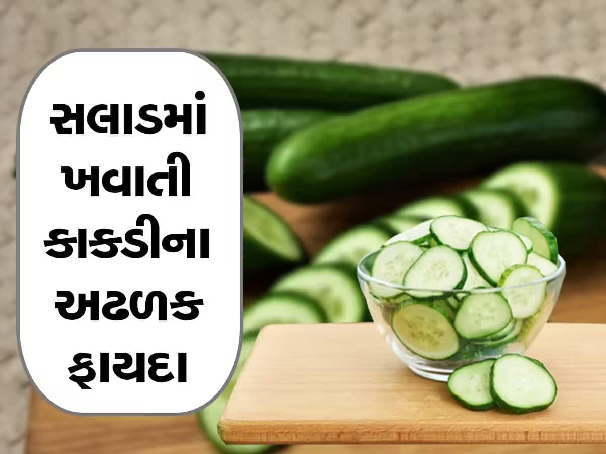 Benefits Of Cucumber: દરરોજ કાકડી ખાવાથી થશે આ અમૂલ્ય ફાયદા, પાચનતંત્ર અને હાડકા પણ થશે મજબૂત