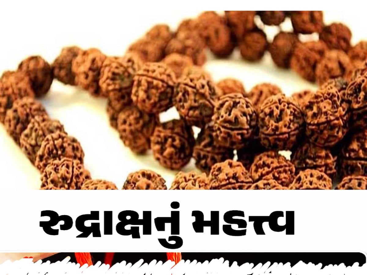 Rudraksha: રુદ્રાક્ષની માળા પહેરતા મોટાભાગના લોકો પણ નહીં જાણતા હોય આ વાત!