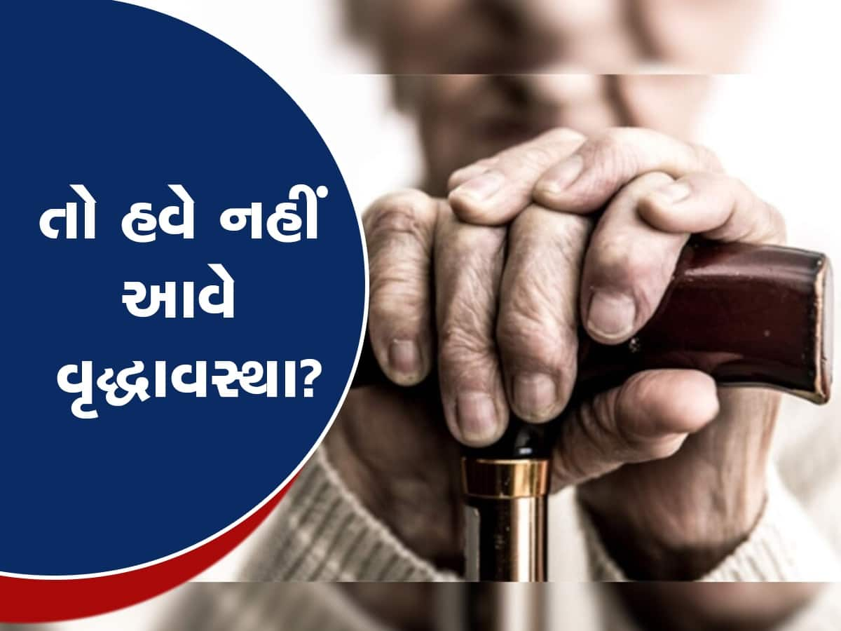 હાર્વર્ડના વિજ્ઞાનીઓનો દાવો - વૃદ્ધાવસ્થાને યુવાનીમાં ફેરવવા માટે રાસાયણિક મિશ્રણ મળ્યું, ઉંદર અને વાંદરા પર સફળ પ્રયોગ