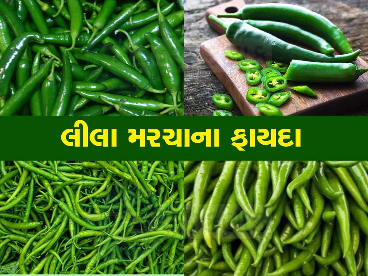 શરીર માટે ખુબ જ ફાયદાકારક છે લીલા મરચા, પરંતુ જાણો એક દિવસમાં કેટલા મરચા ખાવા જોઇએ?