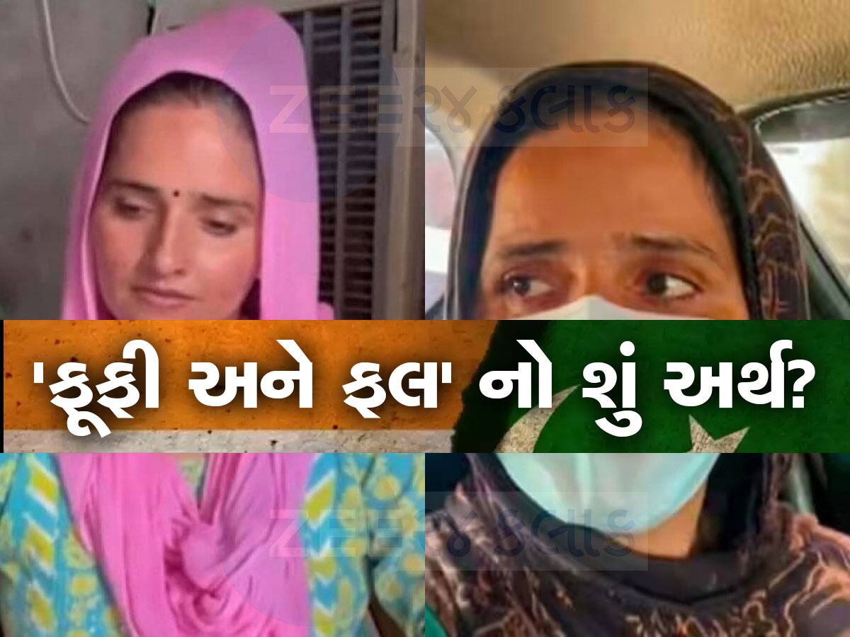 Seema Haider: સૈન્ય અધિકારીઓને મોકલી ફ્રેન્ડ રિક્વેસ્ટ? ATS એ 'ફલ' અને 'ફૂફી' શબ્દો પર પૂછ્યો સવાલ