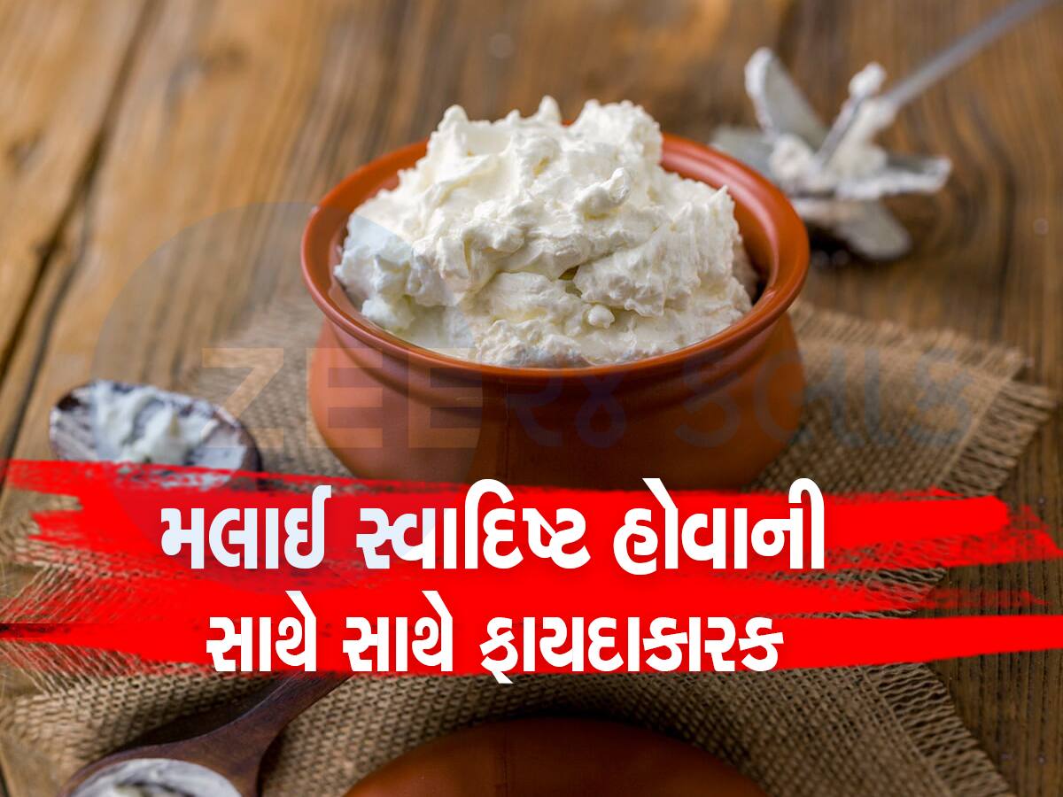 મલાઇમાંથી ઘી ઘણું બનાવ્યું પણ હવે ટ્રાય કરો કંઇક નવું, આ છે બેસ્ટ વાનગીઓના ઓપ્શન