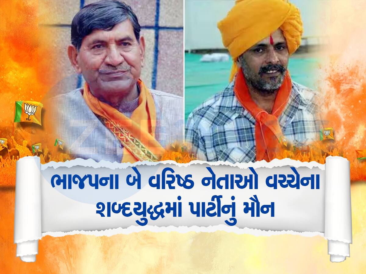 Gujarat Politics: BJPના 156 MLA ગાડીની નીચે ચાલનારા, ભાજપ માટે જૂથબંધી સીટ ગુમાવશે