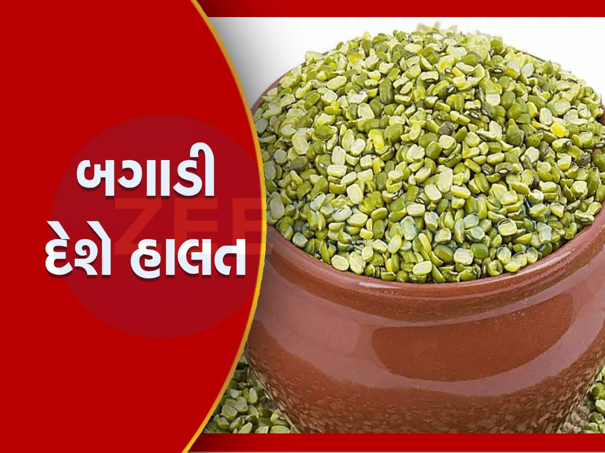 હેલ્ધી મગ કે મગની દાળના ફાયદા છે અનેક, પણ આ લોકો માટે નુકસાનકારક