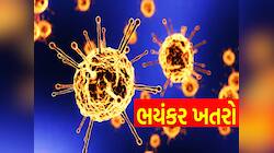 શું ચીન બાદ હવે અમેરિકાથી ફેલાશે કોરોના જેવી મહામારી? જાણો સૌથી મોટી ચેતવણી