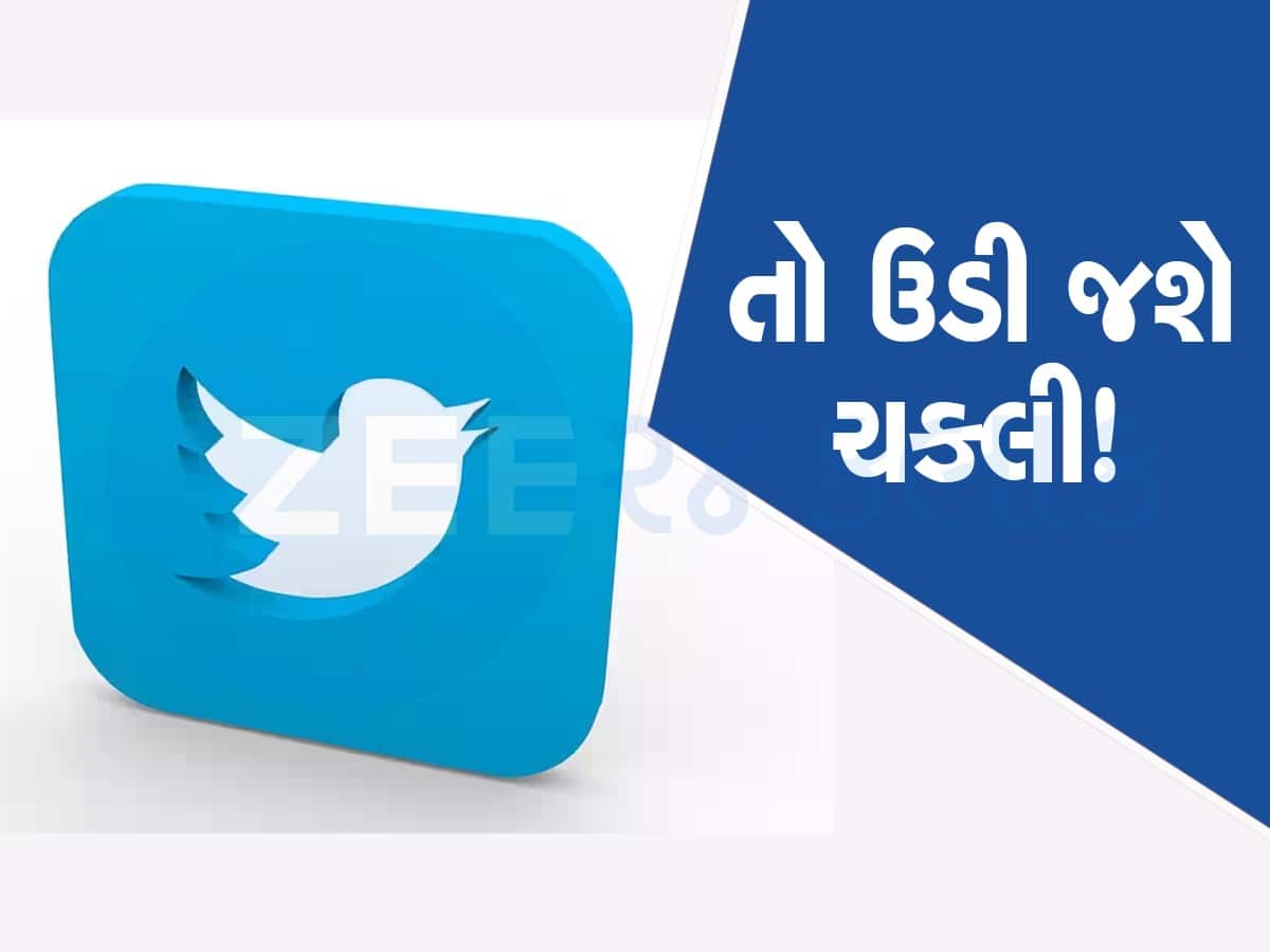 Twitter ની ચકલી ઉડાડવાની તૈયારીમાં એલન મસ્ક, જાણો કેવો હશે નવો Logo