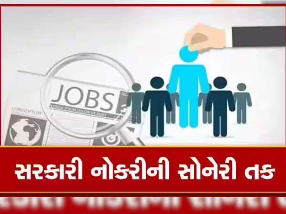 Govt Jobs 2023: ઊંચા પગારવાળી સરકારી નોકરી, કોટન કોર્પોરેશનમાં કામ કરવાની તક