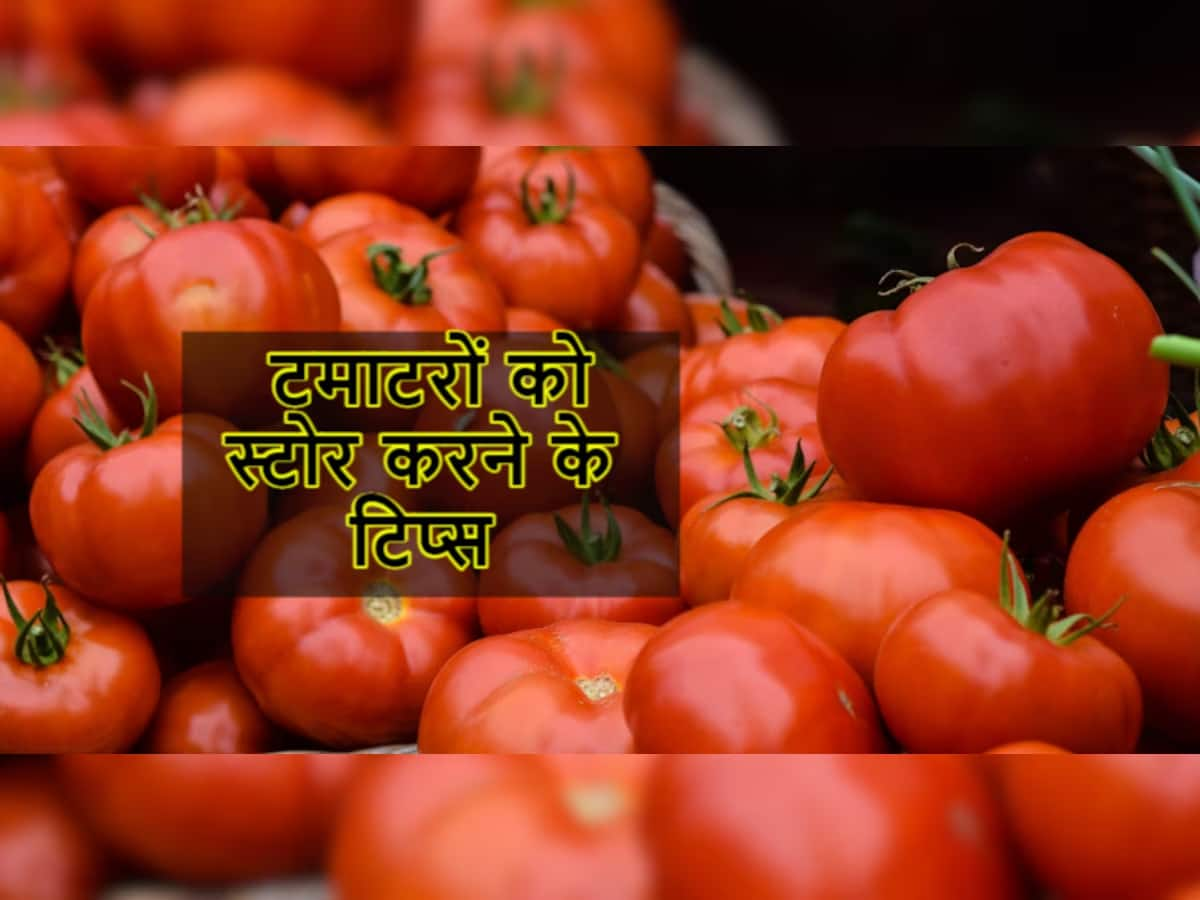 Tomato Tips: આ રીતે ટામેટા કરો સ્ટોર, મહિનાઓ સુધી ચાલશે અને સ્વાદ પણ સચવાશે