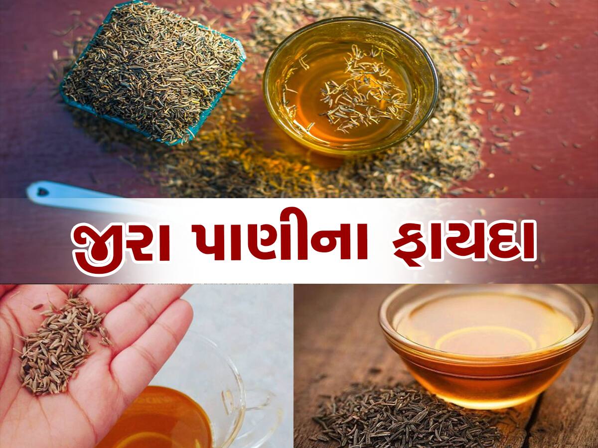 Weight Loss Tips: બોડી ફેટ ઘટાડવા માટે પીઓ આ મેજીકલ ડ્રિન્ક, ફિગર બની જશે શાનદાર